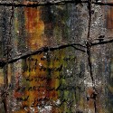 Jim Crow, Emancipation Proclamation, American History, the Civil War