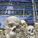 Convict leasing Sugarland Texas