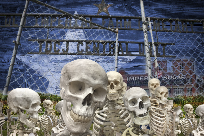 Convict leasing Sugarland Texas